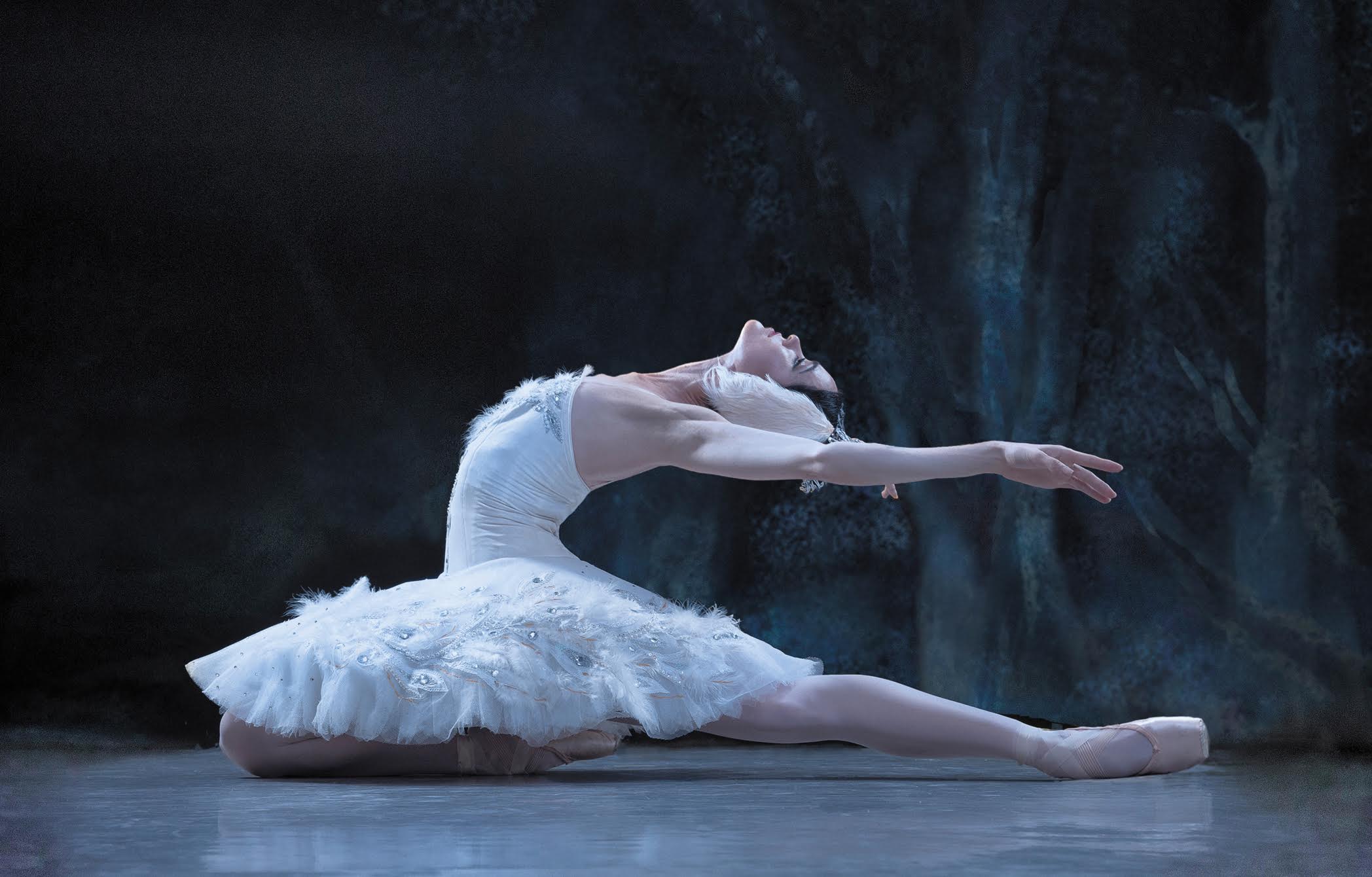 Swan Lake tells the story of an enchanted love between a swan maiden and a ...